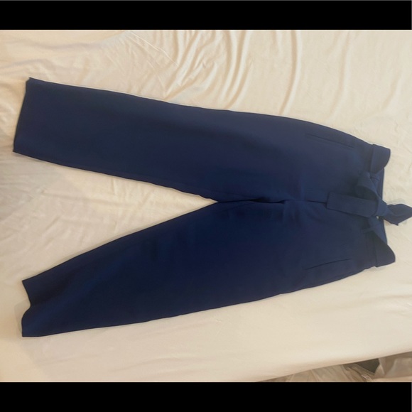 Aritzia Pants - Great blue work pants, worn once